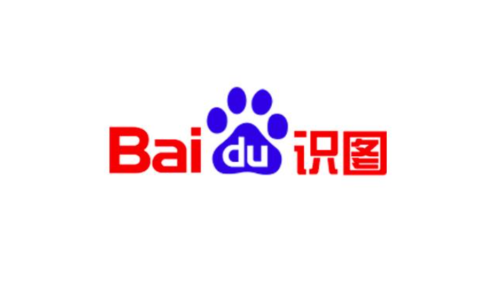 蜘蛛池在多浏览器支持中的适配